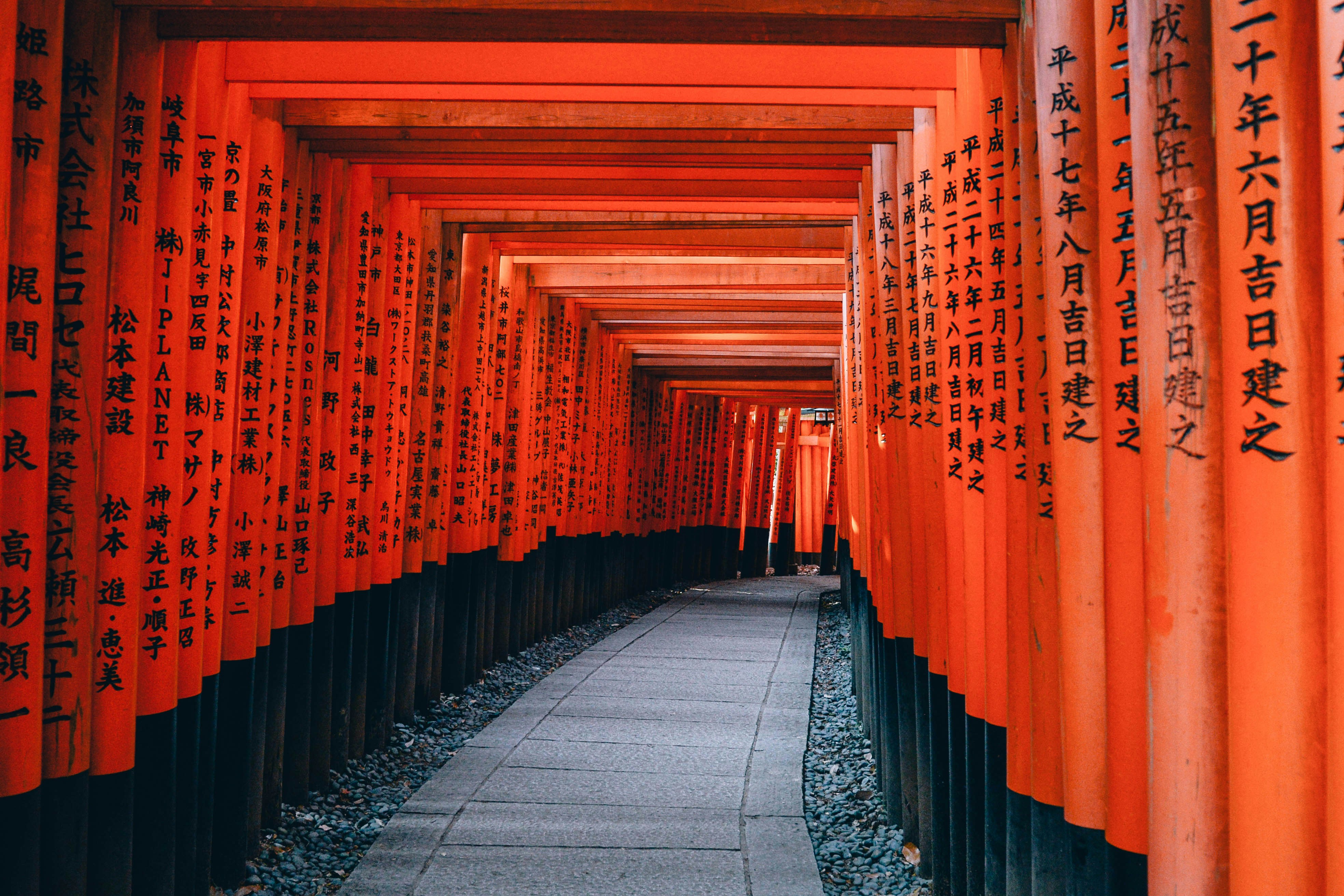 Japón: un viaje que cambió mi forma de ver el mundo 🇯🇵